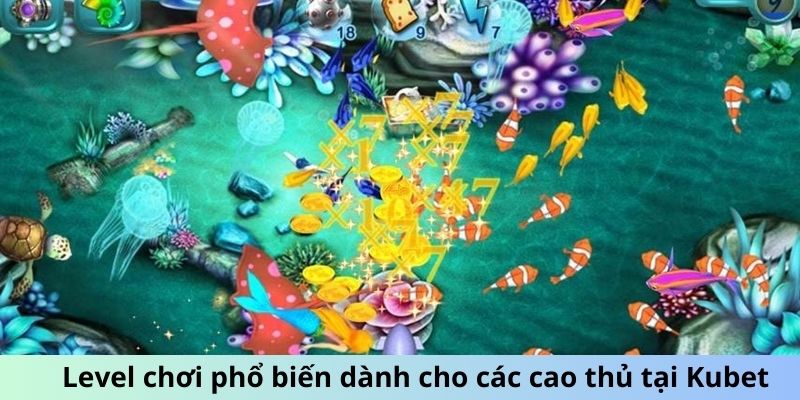 Level chơi phổ biến dành cho các cao thủ tại Kubet