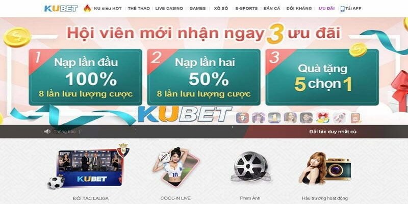 Nguyên nhân xuất hiện thông tin nhà cái Kubet bị sập