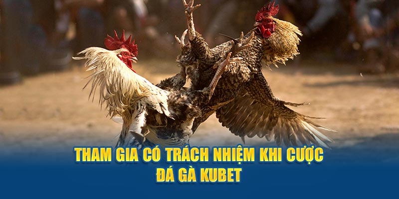 Tham gia có trách nhiệm khi cược đá gà Kubet